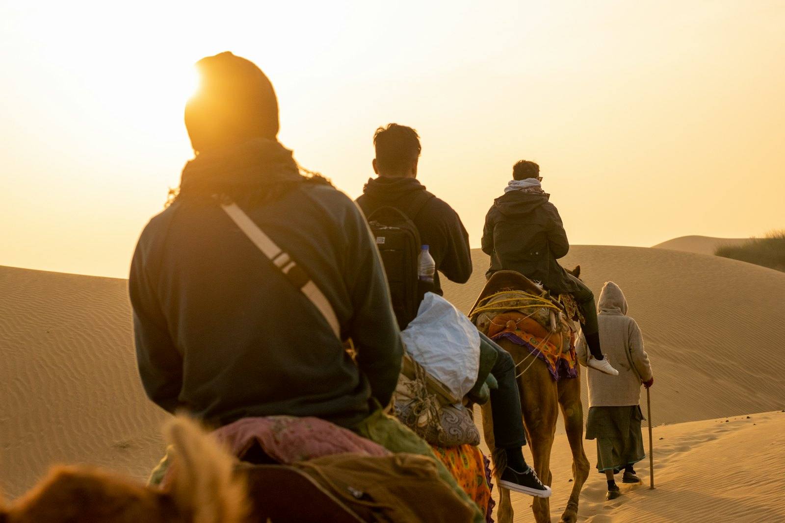Travellers on a camel safari in the Thar Desert near Jaisalmer at sunset